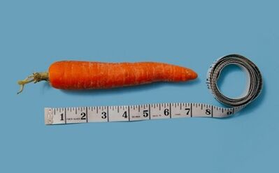 how to lose weight on the 6 petal diet