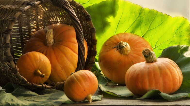 Pumpkin useful for diabetics promotes weight loss